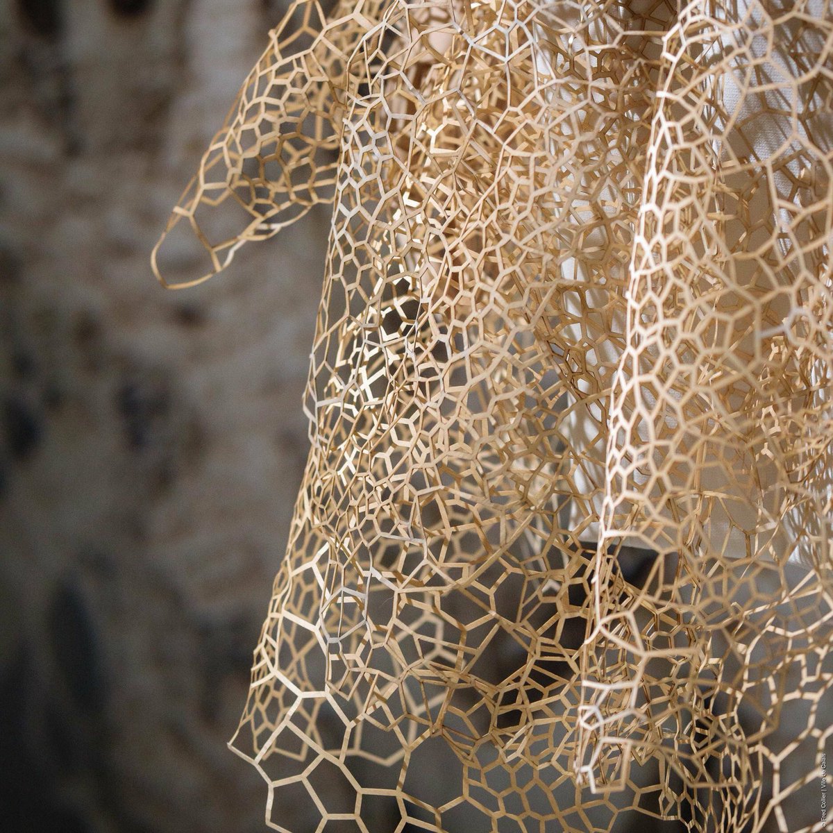 pointsensible's tweet image. Expo #HauteDentelle a la Cité de la Dentelle de #Calais : fermeture J-1. Focus sur la créatrice néerlandaise #IrisVanHerpen et son incroyable robe en #dentelle de bois tridimensionnelle découpée au laser !