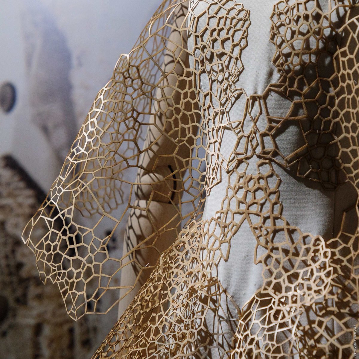 pointsensible's tweet image. Expo #HauteDentelle a la Cité de la Dentelle de #Calais : fermeture J-1. Focus sur la créatrice néerlandaise #IrisVanHerpen et son incroyable robe en #dentelle de bois tridimensionnelle découpée au laser !