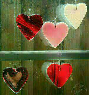 قلُوبنا لاتبحث عن الحُب 
الحب سيأتي عاجلا،،،أم آجلا 
نحن نبحث عن مشاعر قويه صادقه 
وقلوبٌ تصدق،،لا تجرح،، ولا ترحل،، ولا تخذل..