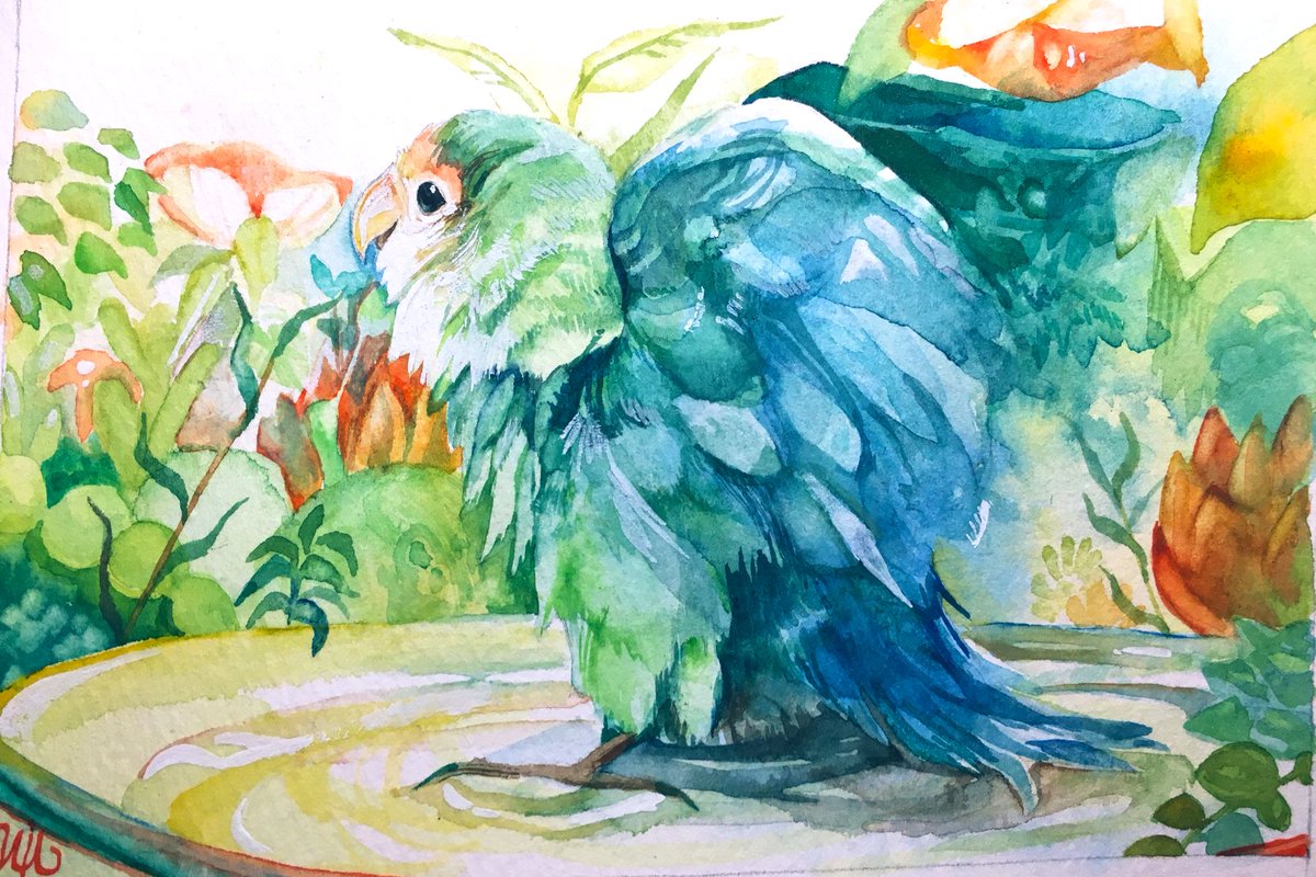 【ラッピング不可】 鷹の絵 絵の具 絵画 絵画