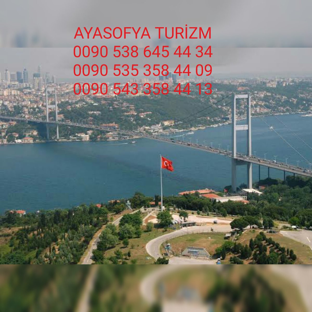 AyasofyaT's tweet photo. تنظيم رحلات وبرامج سياحية VIP بارخص الاسعار
السياحة في تركيا
تأجير سيارات مع سائق VIP
حجز فنادق / تأجير فلل / شقق مفروشة
الراحة والامان مع شركة اياصوفيا للسياحة التركية
#امنياتك_ب_2019 #انطلاق_الدراسه_غدا_بالتوفيق #صباحات_الهلال  
#زهقان_اكتب_هنا 
للحجز - 00905433584413 https://t.co/I0pn1lRknw