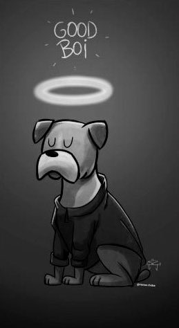 adoptaunavidaMD's tweet photo. Igual que pedimos #JusticiaParaSota también pedimos #JusticiaParaMiguel al pequeño bóxer que amarraron a un portón, le dieron croquetas mezcladas con petardos y le explotaron la cabeza, leemos a muy pocos exigir justicia💔

Firma porfa https://t.co/Amf1RNsvEf https://t.co/beOKCT1sgD
