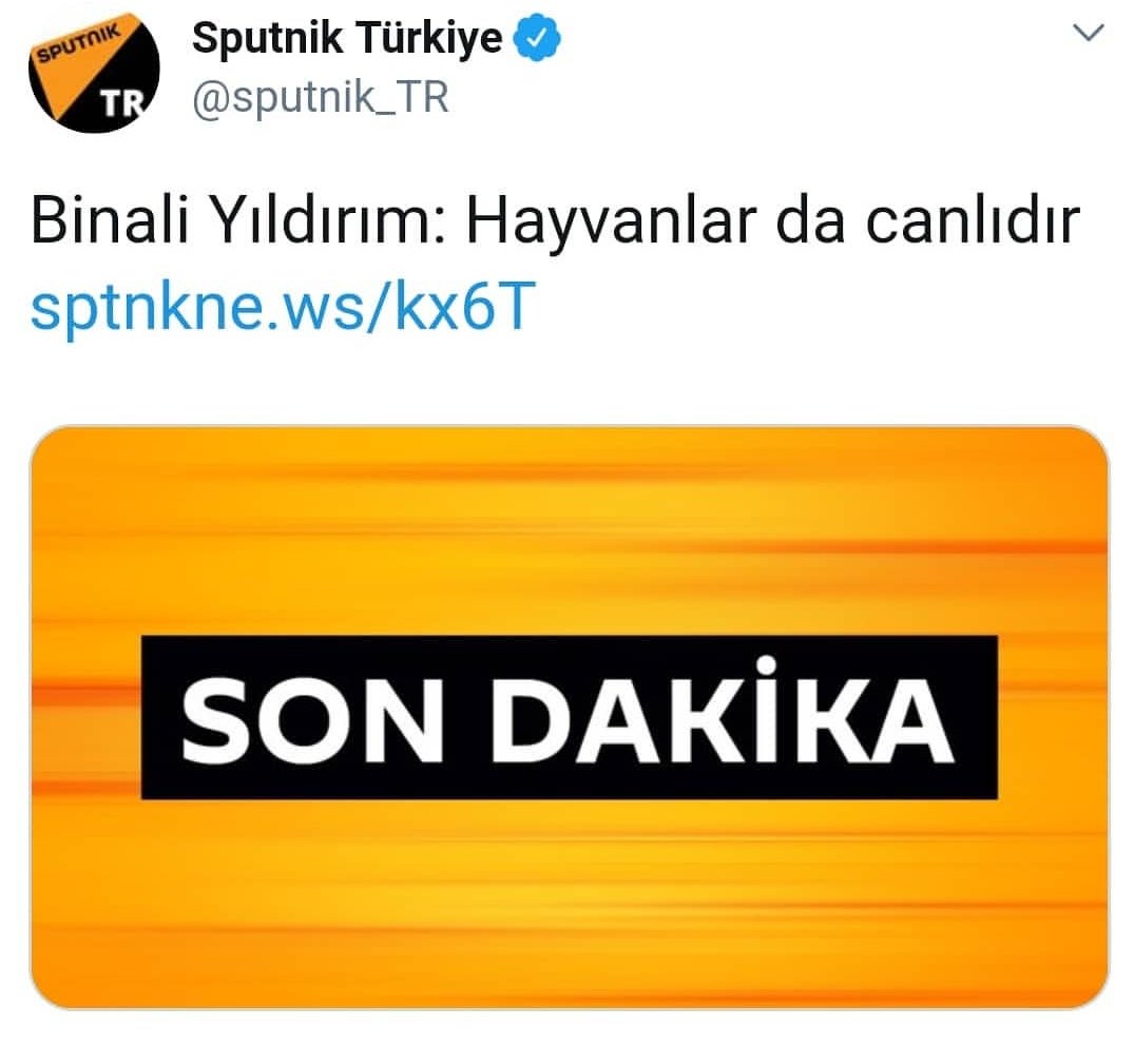 Bilimde gelinen son nokta😂
Bu çok ciddi bir iddia 🤔

#cumartesi