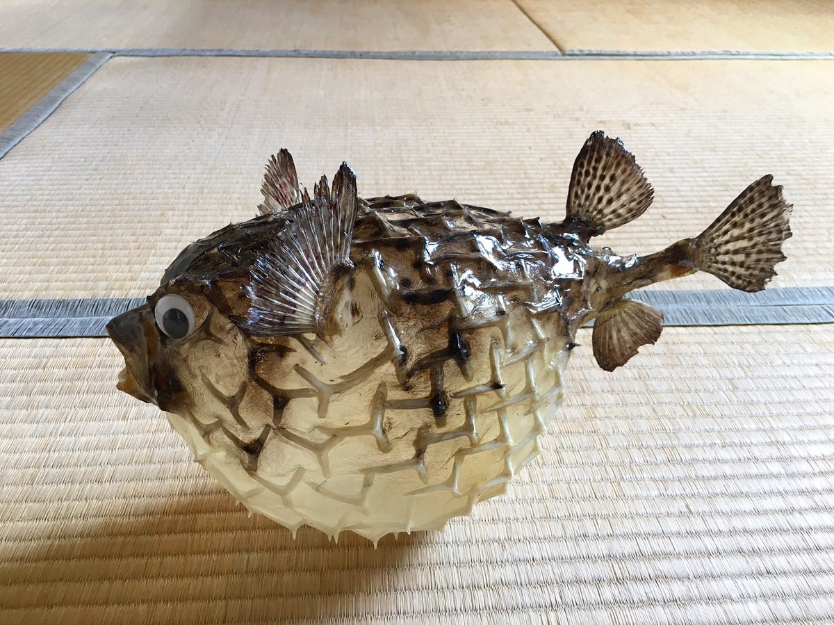 ふぐ提灯 ふぐ提灯