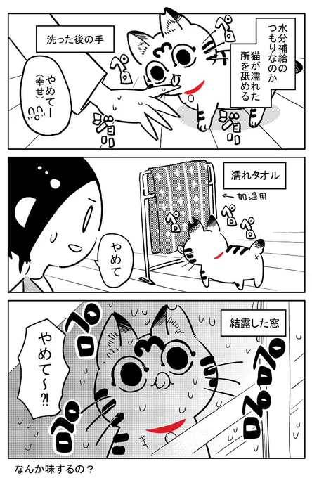 猫飼いました23 