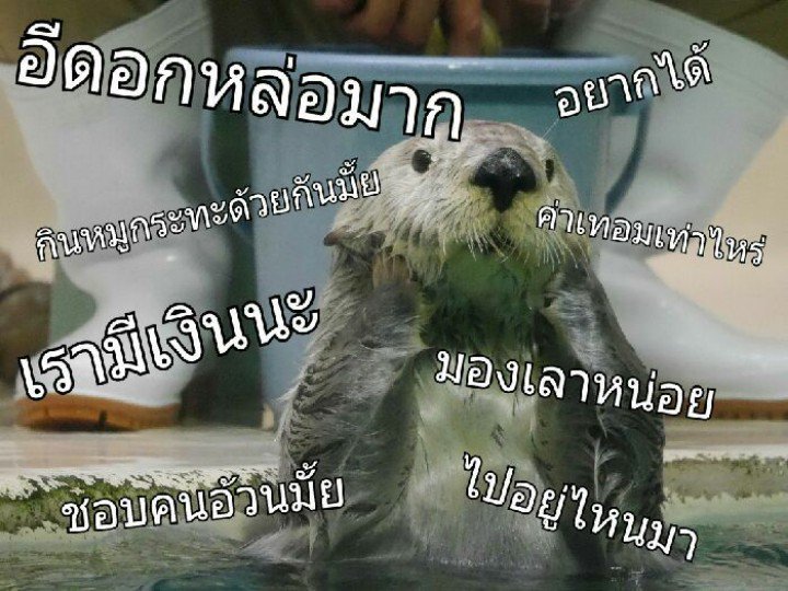 . tweet media