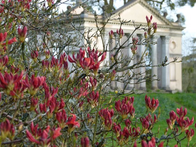 HighclereCastle's tweet photo. Tickets are now available for ‘Springtime Strolls’. Witness a profusion of new colour, the Scented Walkway, the new Magnolias and the Azalea Alta Clarensis hybrids created by the 2nd Earl of Carnarvon.  #gardens #Hampshire https://t.co/U82n1DnujQ https://t.co/4fqrQhoSHn