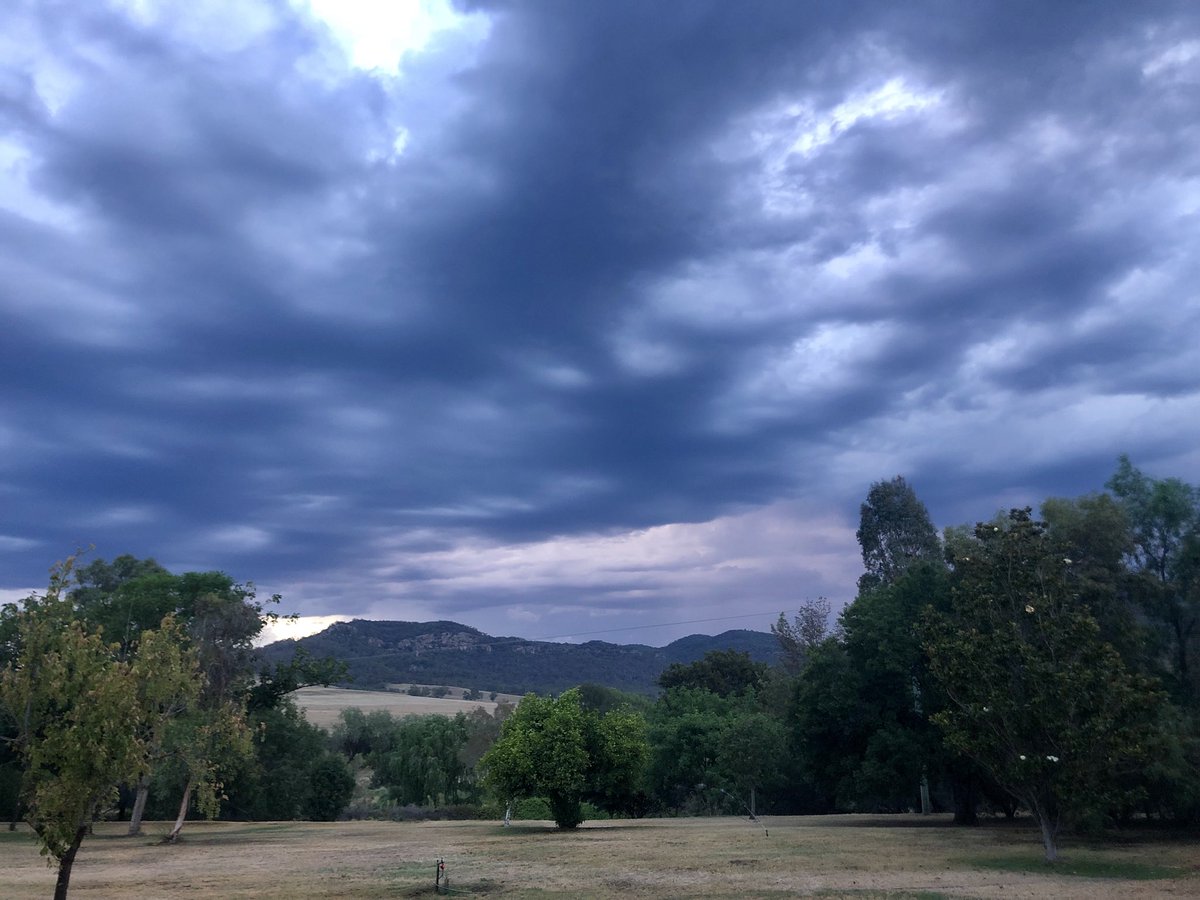 MrHordern's tweet photo. Where is this so called cool change? #HunterValley #melting #weather #wine https://t.co/9yVN3ziRLI