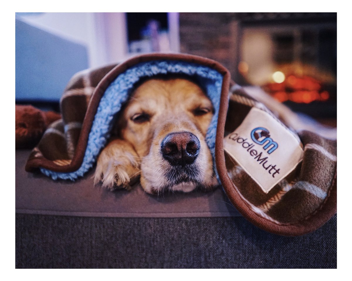 RustyRodas's tweet image. Snoozer.