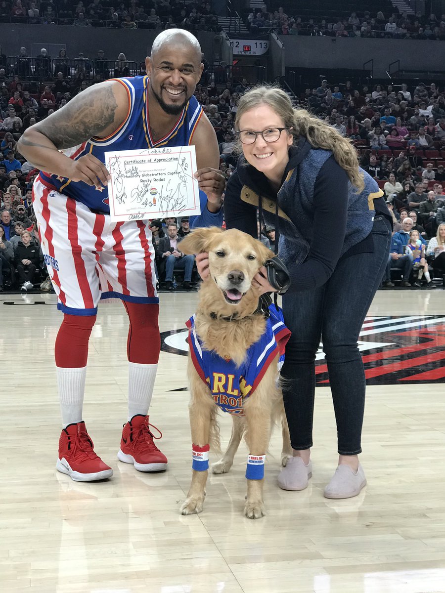 RustyRodas's tweet image. I got to be the Honorary Captain at the @Globies game in #portland haha sat courtside and everything. I love my life. Thanks @Globies! #doglife