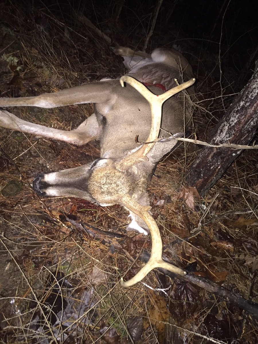 I’ve had a great season.  This 6 point came in late yesterday evening almost 18” spread