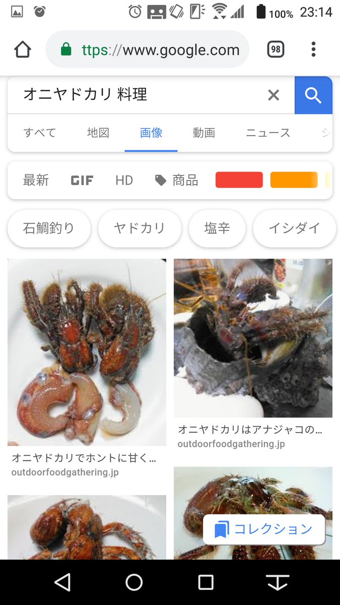 Nishigai V Twitter 場所はそんなに沖島でなく 半島から島までバスで一分くらいの橋 岩魚でお土産屋みたいなお店だから 在庫があったりなかったり 地元でポイントを探せばよく 釣れるんですよ ウツボ また ヤドカリは釣り餌にも使うこの種ですね あと 半島南は