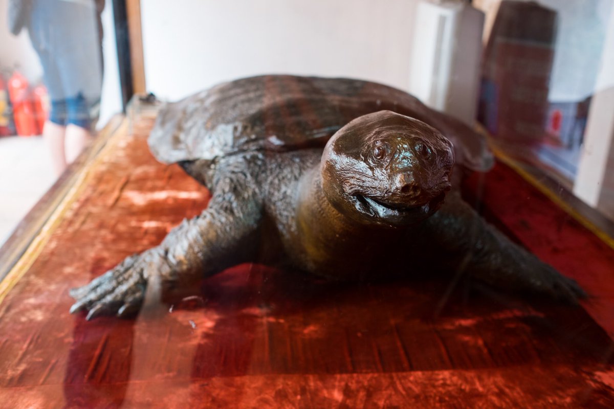 榎戸雄一 富士山写真集のクラファン成立 子育中 19 1 3 ハノイ観光 ホーチミン廟 ドンスアン市場 ホアンキエム湖 タンロン遺跡 午前中しか見れないホーチミンの遺体を見に再度朝一でホーチミン廟へ 遺体は真っ白だった ドンスアン市場を一回りして