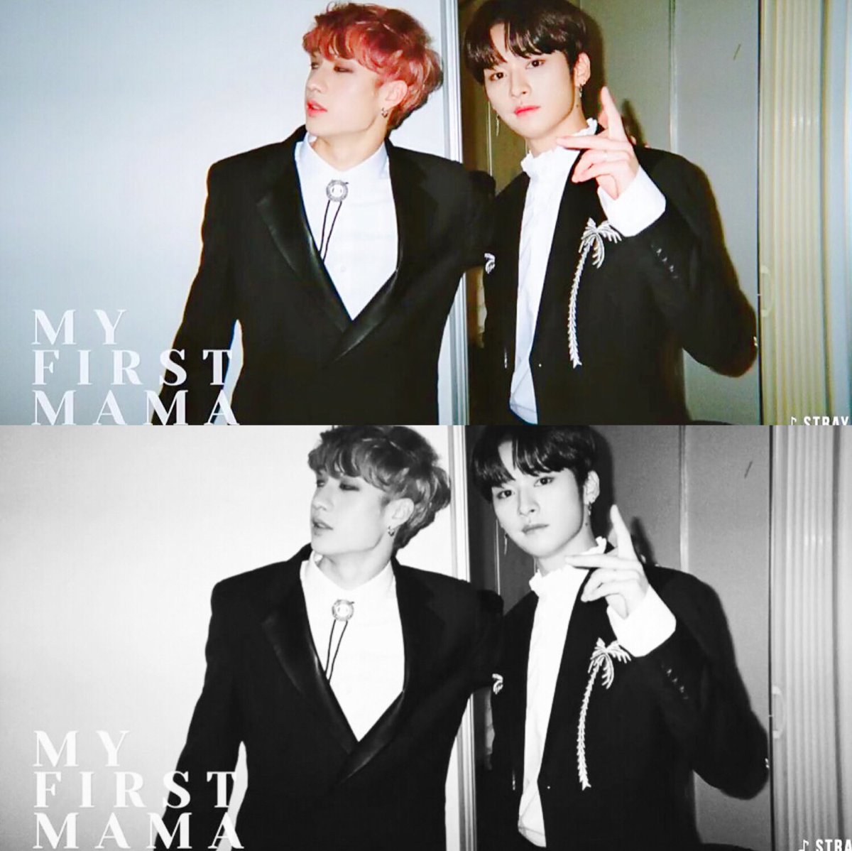 『HANDSOME BOYS 🐱🐶』