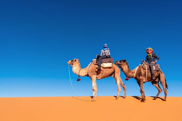 Andrea Vaccari tweet media