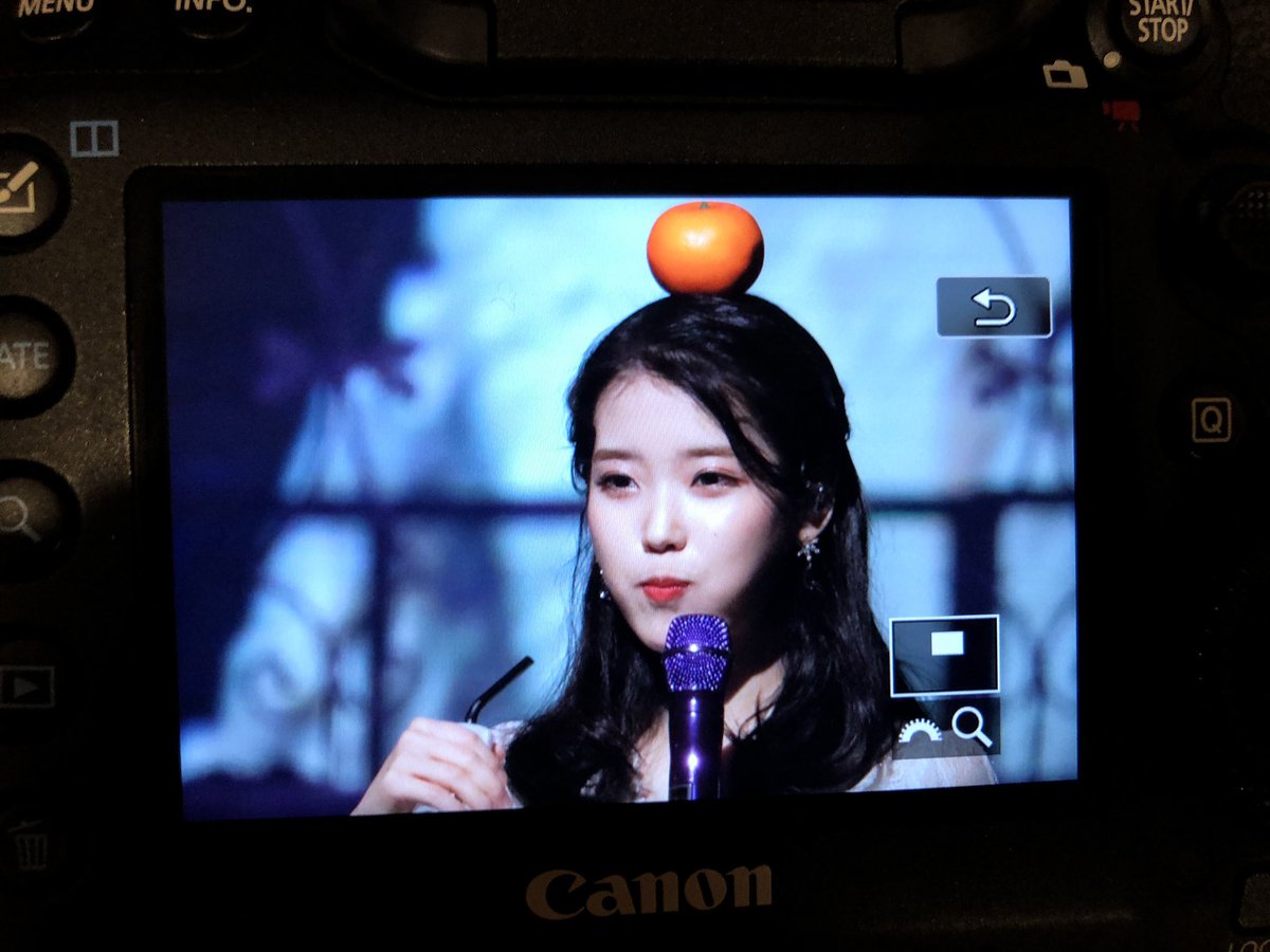 jinoo_baragi's tweet photo. 190105 아이유 데뷔 10주년 기념콘서트 커튼콜 in 제주 직찍 preview by 지누 https://t.co/iDW9Ybqbma