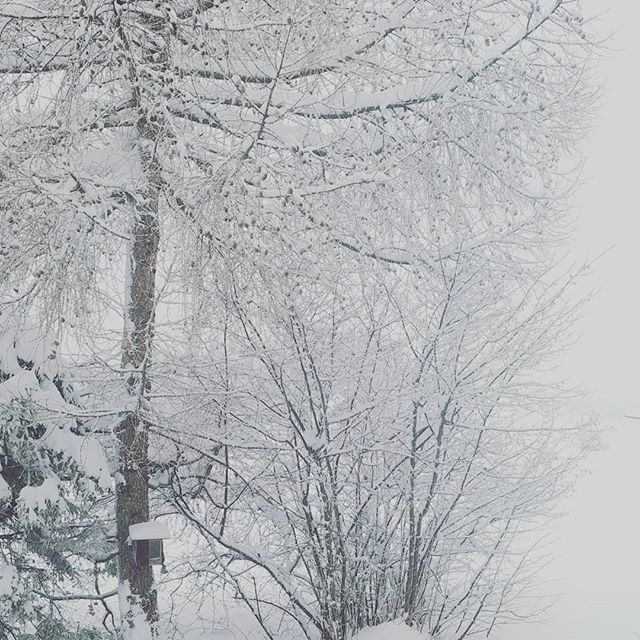 siwa's tweet photo. Zima.

#Winter #zima #white #bialo #snieg #snow #betterinside #beskidy #zapasieki #photo https://t.co/1xyzTuI1Vl