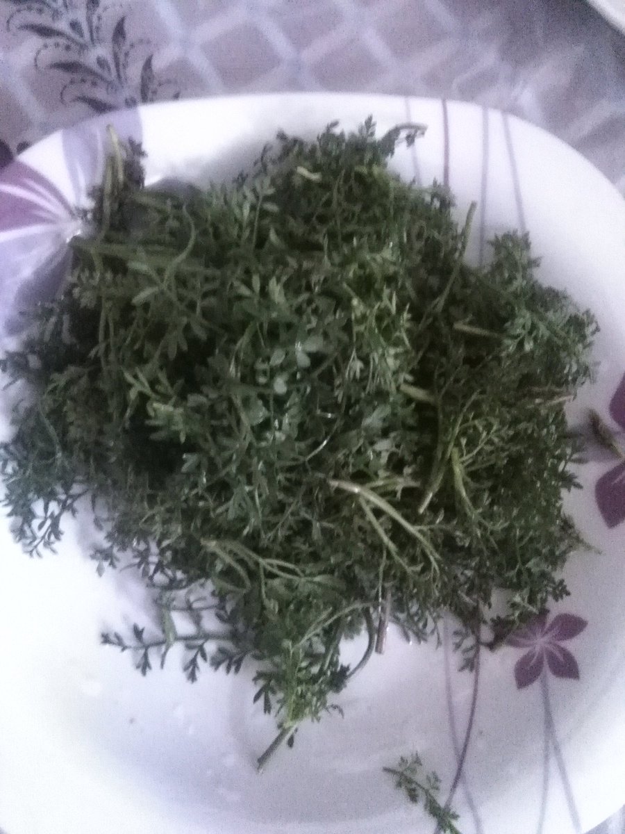 بەڕەزام واردەن مەسم کەردەن