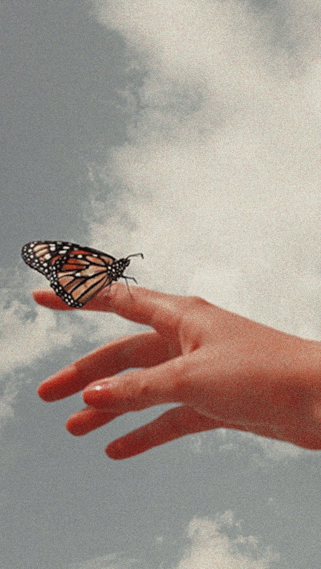 Dedkrut's tweet image. Ну и чтоб актива поднять так сказать
С вас 
Подписка на меня (я взаимная)
Рт
В реплаи с кем хотите оформу

Вам:
Оформууу