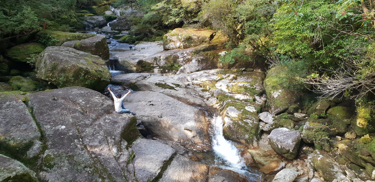 GoGayJAPAN's tweet photo. One of our happy travelers has delight us with this picture. It takes place in the remote island of Yakushima, where many of its trees reach over 7,000 years of life!
#japan #japantravel #gaytravel #traveler #viajarajapรณn #viajesgay #GoGayJapan https://t.co/qD2tdQg17m