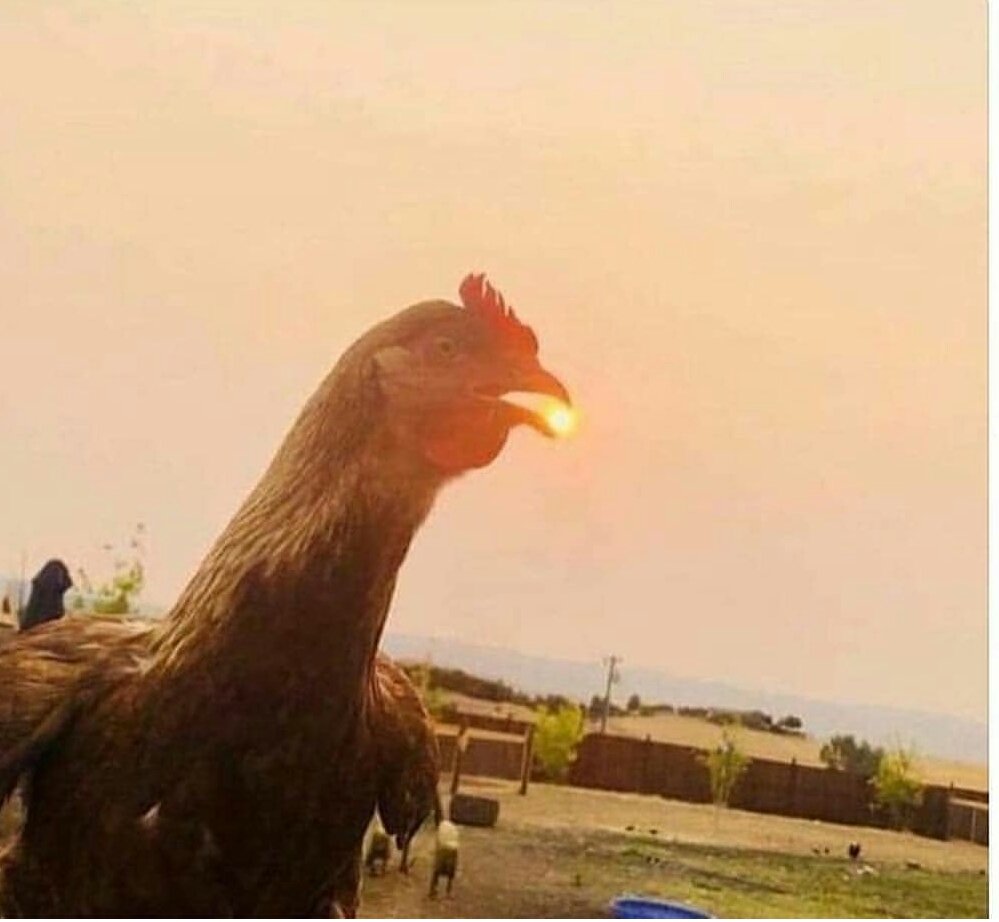 Güneşi gülüşüne nasıl sığdırdın ?