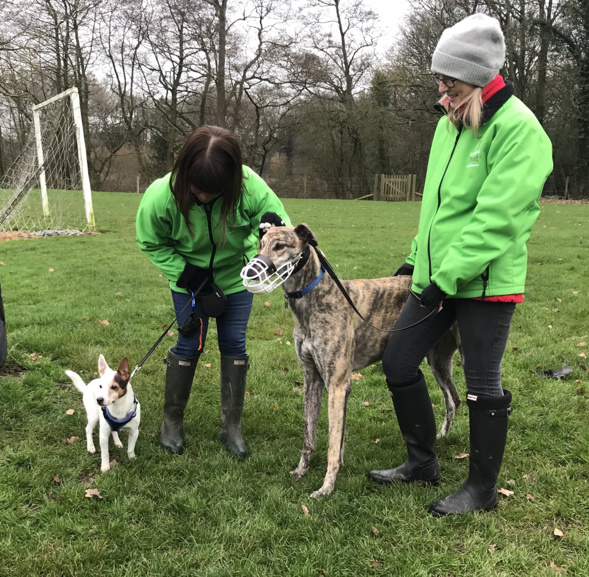 Volunteers Karen & Libby brought their little dog Bailey up to the kennels this morning to help with the small animal testing. New hound Chaz was more than happy to say hello and was very well behaved! #needsahome C