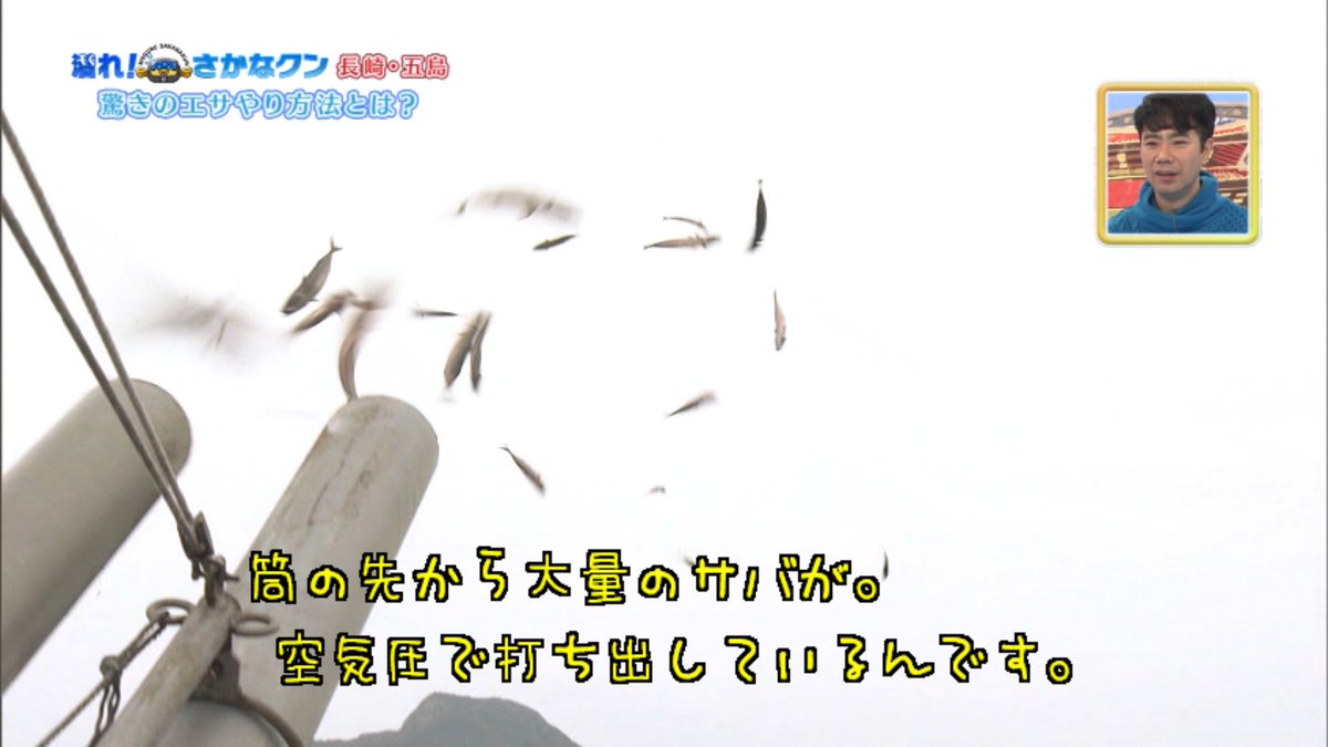 さかなクンさんが数千匹のクロマグロが泳ぐ養殖場の中に潜る グルグル旋回するマグロの渦で人間洗濯機状態 潜れさかなクン 2ページ目 Togetter
