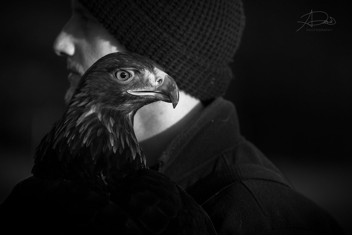 Drew Davies Photography tweet media