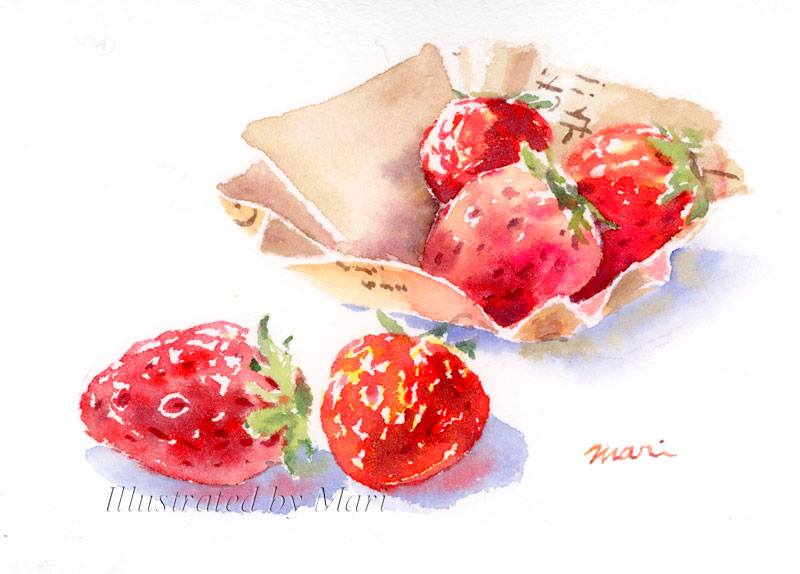 超激安 苺の透明水彩 水彩絵具 墨 Www Jaira Beer 超激安 苺の透明水彩 水彩絵具 墨 Www Jaira Beer