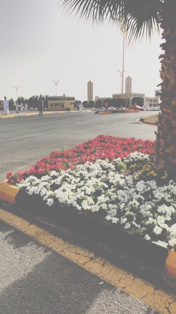 ddd888823's tweet photo. #مسابقه_الطايف_في_صوره٢
#تصويري https://t.co/Dz9Yo8jBT8