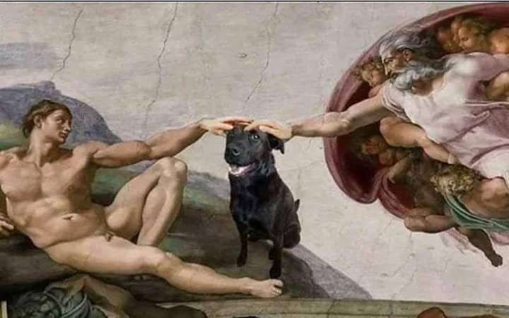 To, ka bez "radības kroņa" uz Zemes radušies arī citi, Mikelandželo neuzgleznoja. Tagad tas labots! Ja nopietnāk: tikai reto neuzrunā dzīvnieku nesavtīgais draudzīgums. Pat tiem, kas darījuši pāri, iespējams, vislabāk var palīdzēt, dodot iespēju izveidot saikni ar kādu dzīvnieku.