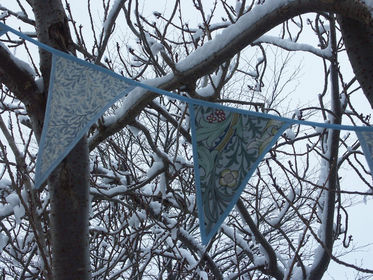 BeautifulBuntin's tweet photo. Beautiful Bunting will be in hibernation for a bit while the company is in transition. We are currently unable to take any bookings or respond to enquiries. We will let you know when we are back to full service - apologies for any inconvenience. https://t.co/rSnPZPflST