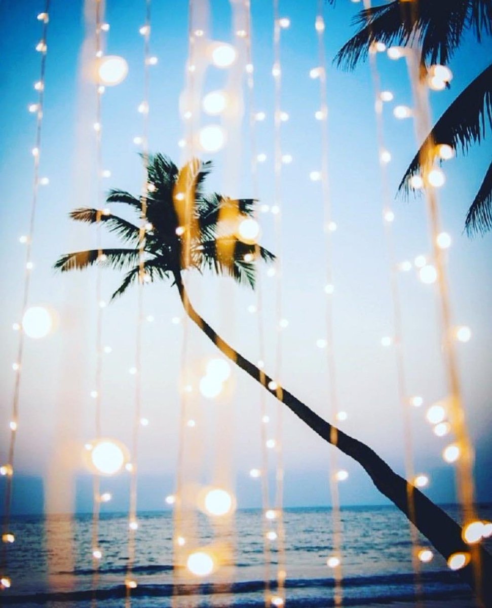 JosephineBikini's tweet photo. Starting new year shining✨ https://t.co/IwHHykbDDn
