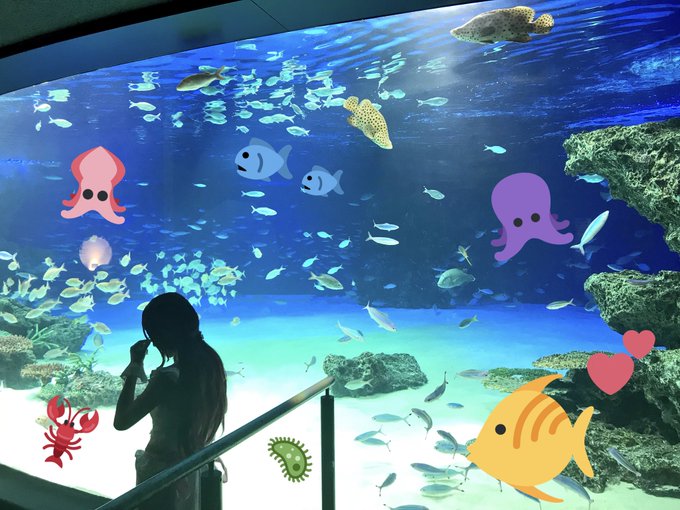 コスプレイヤーこなみるくのTwitter画像44