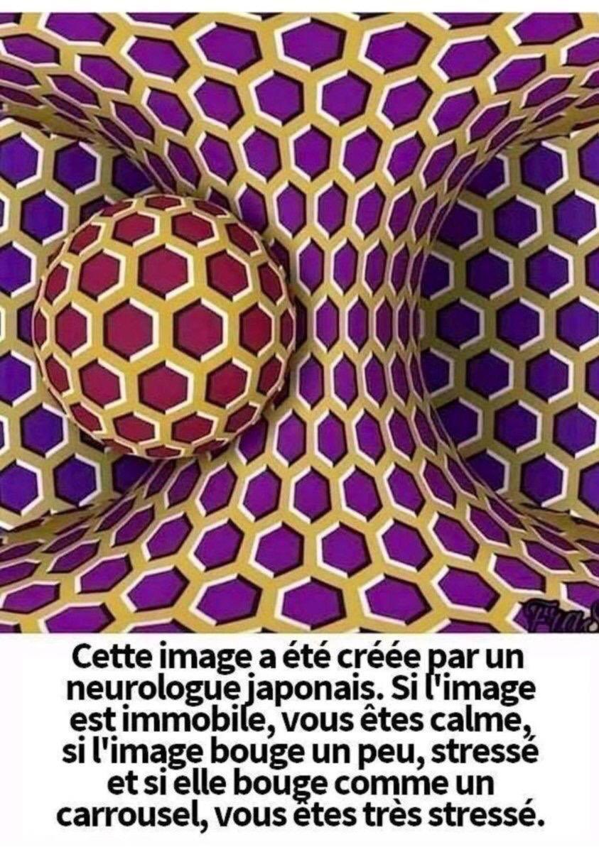 M-Christine Lanne tweet media