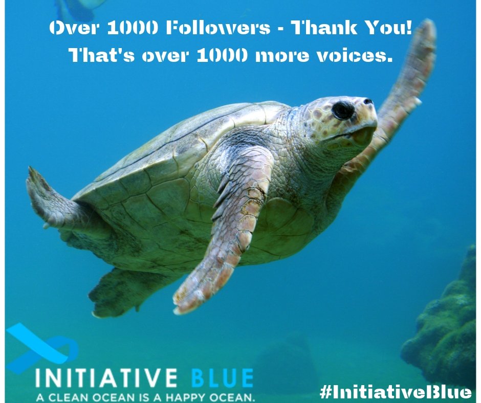 Over 1000 followers - Thanks from the team @ #InitiativeBlue. Keep #Sharing

PLEASE #stop using #singleuseplastic - it is drowning our beautiful beaches &amp; killing marine animals. #plasticpollution #PlasticKills

RT/Follow us for a chance to #win a free entry for our #Competition