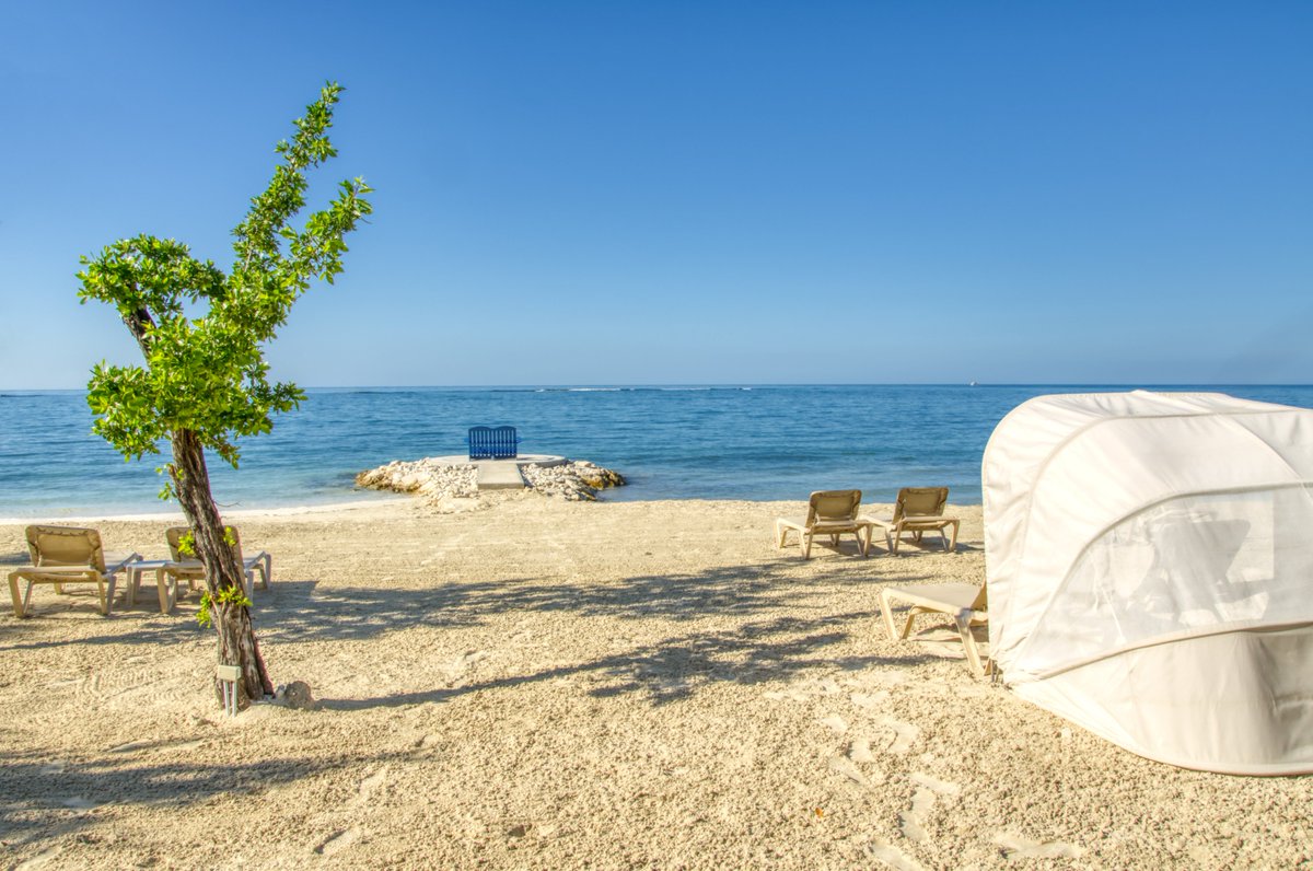 rick_w_manning's tweet photo. I dream of lazy days on this beach again. This resort is fantastic. Only 2 days until the contest begins!
@1005FreshRadio  @CWalker1015 @petedalliday @dgups @GlobalPtbo 
#FreshMornings #StepIntoSandals #TheMorningShow #Whitehouse #Jamaica #SouthCoast https://t.co/SEHlmoyeSi
