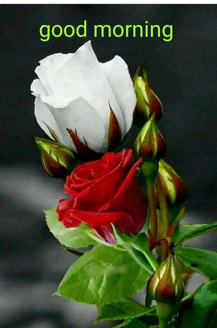 Pravin Chavda tweet media