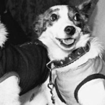 STRELKA_BAND's tweet photo. #NewProfilePic https://t.co/nCiJnA1hiK