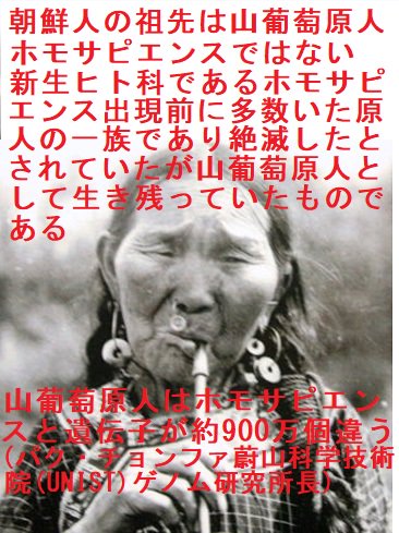 Tomnohara در توییتر 仰るとおり滅びたはずの原始人です ホモサピエンスの係累ではありません