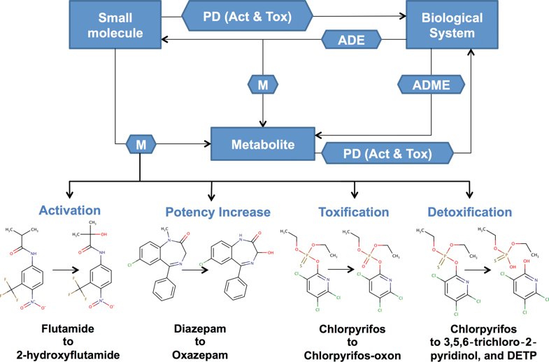 jcheminf's tweet photo. new: "BioTransformer: a comprehensive computational tool for small molecule metabolism prediction and metabolite identification"  https://t.co/3q4gOnmt7G https://t.co/Q5se8Az6Cj