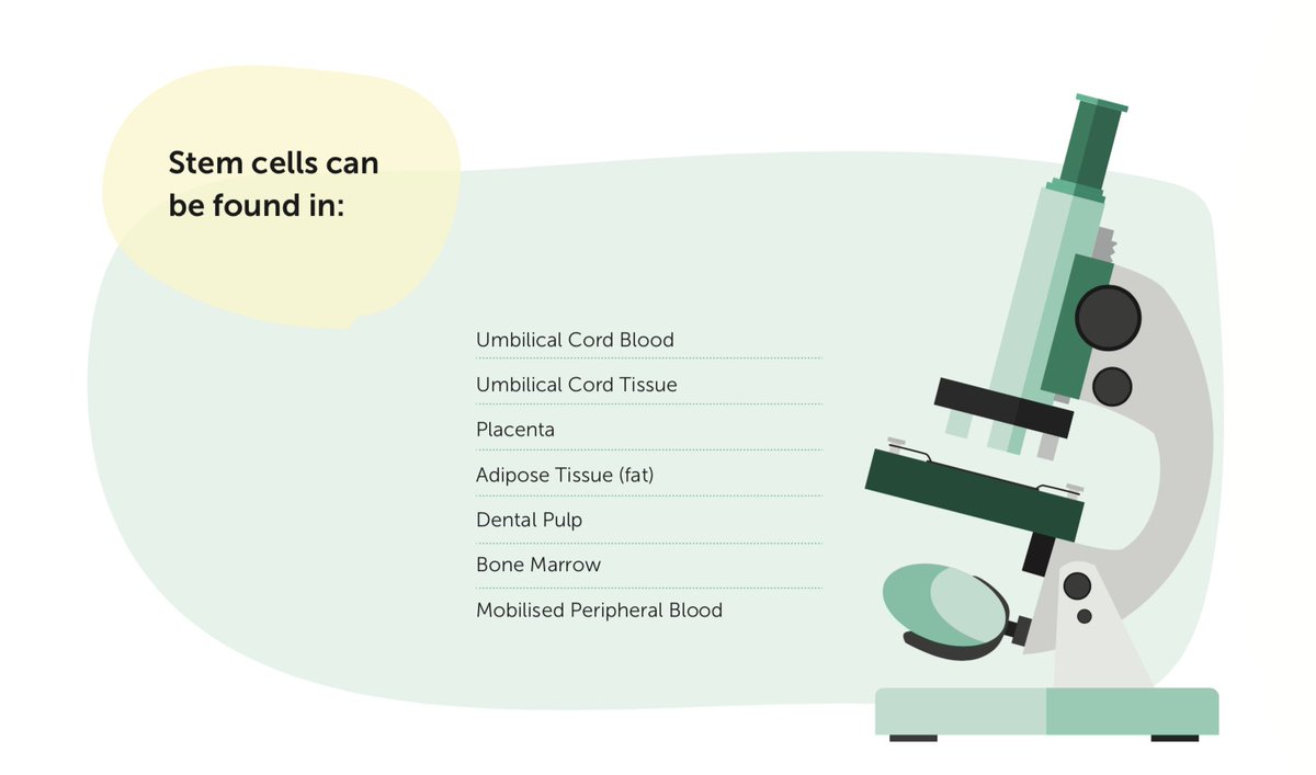 WideCells_UK's tweet photo. Did you know...stem cells can be found in.... #stemcells #stemcelleducation https://t.co/p2THzaYK8v