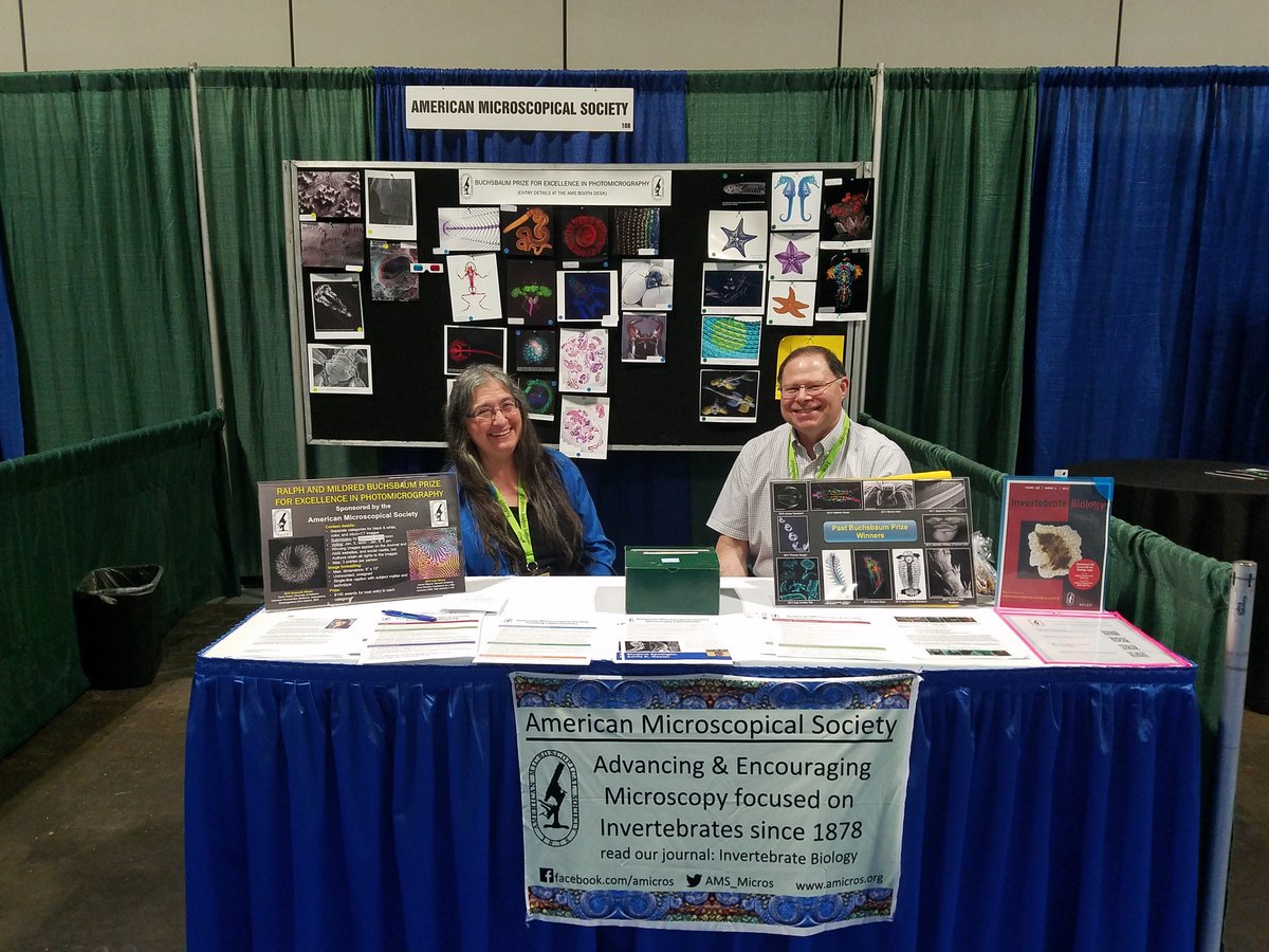 kmkocot's tweet image. You *filled* the board! Don't forget to vote for your favorite @AMS_Micros #Buchsbaum black and white, color, and micro-CT photomicrograph!