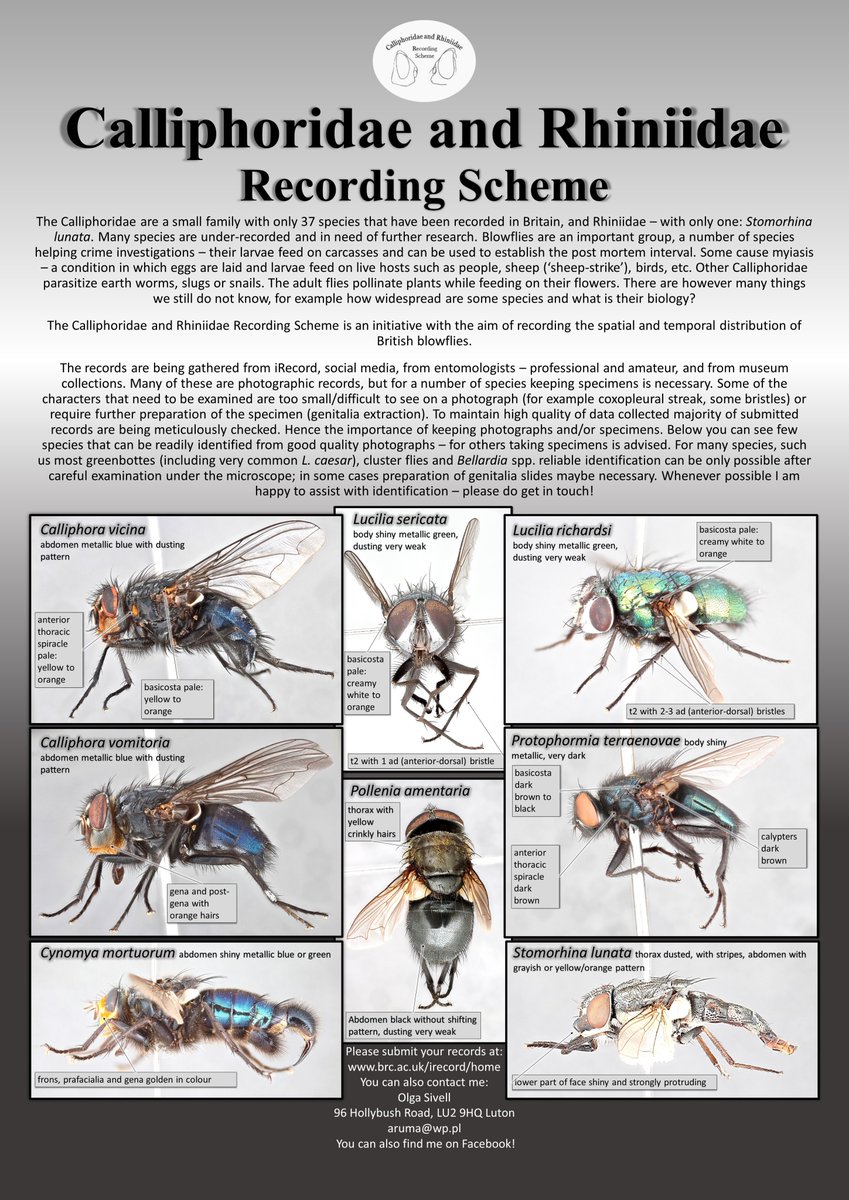 Olga00209044's tweet image. 