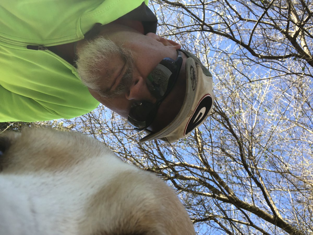 cmullis1209's tweet image. Trying to get a good #RemusSelfie on our Morning Dog Walk through #OrmewoodPark 🐶 ☀️ #remusthepittymix