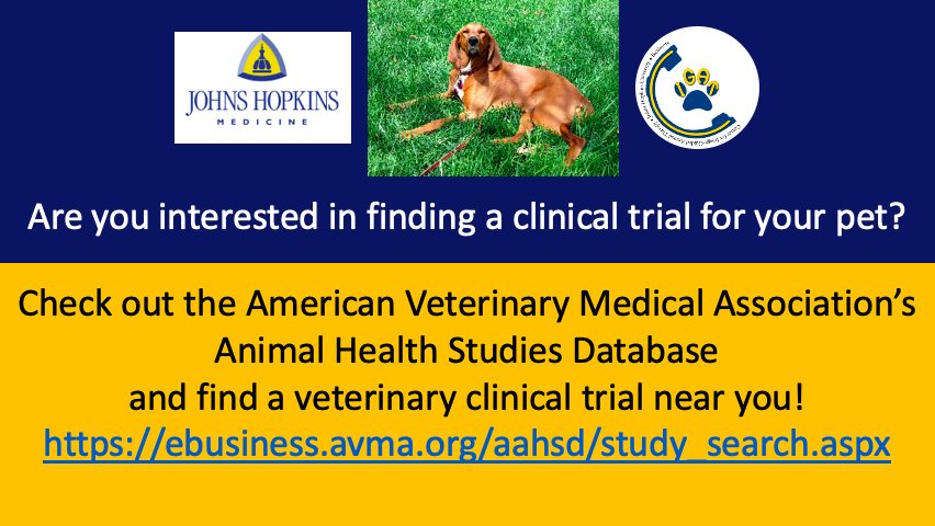 Hopkins_CIGAT's tweet image. How do you find a veterinary clinical trial for your pet? #petshelpingpets #AAHSD #veterinaryclinicaltrials @AVMAvets @AVMACAN @avma