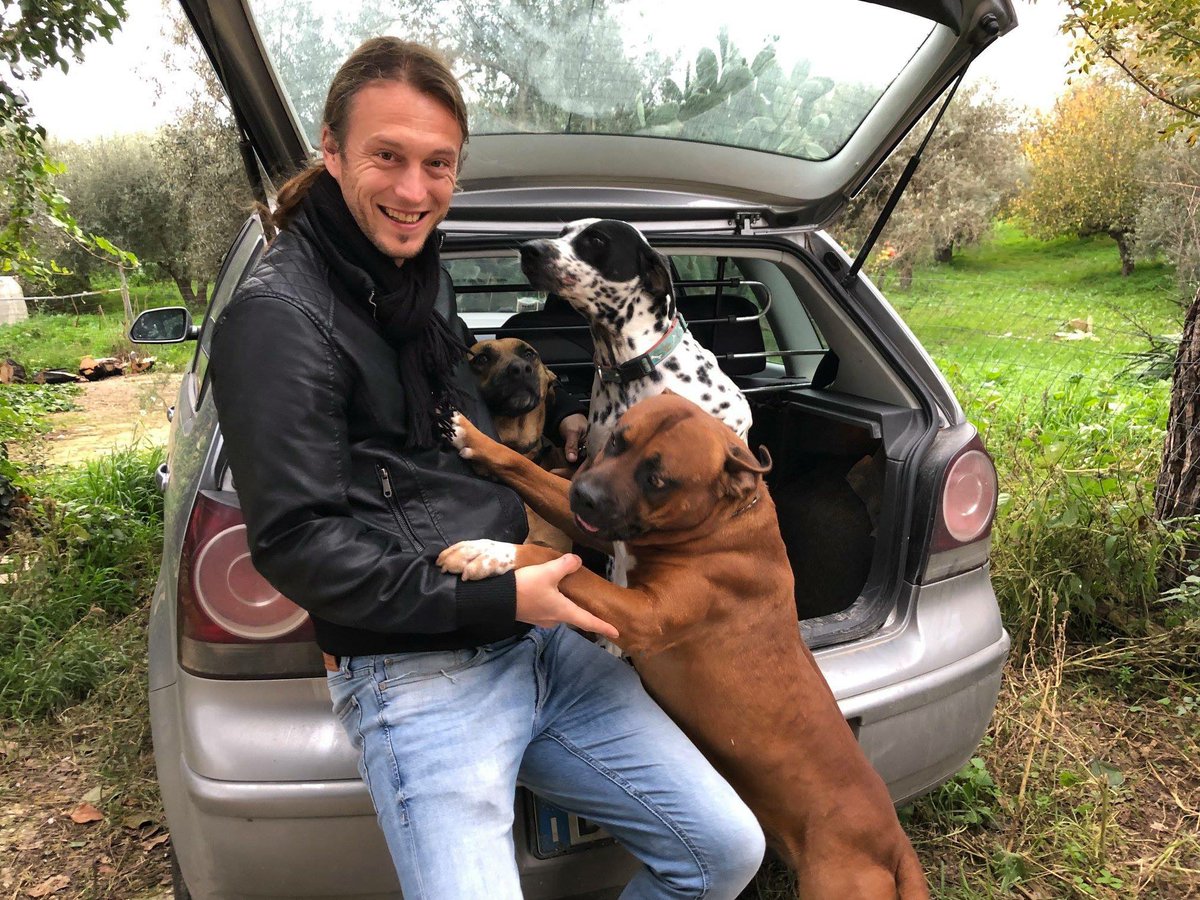 UnitedMetalMind's tweet photo. 10% of the UMM funds will go to buying food for dogs and cats in Sicilian shelters. I will personally deliver the food myself and will keep you updated along the way :) 

I personally care for these three at home and with your support we can help more. https://t.co/9OjxYyJawE https://t.co/FmOLH2VsCI