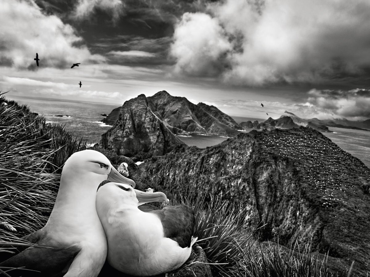 “Il cuore umano a me dà l’impressione di un pozzo profondissimo.
Nessuno sa cosa ci sia laggiù.
Si può solo cercare di immaginarlo
dalle cose che ogni tanto vengono a galla.”
#HarukiMurakami

📷 #SebastiaoSalgado #photography #blackandwhitephotography #booklover