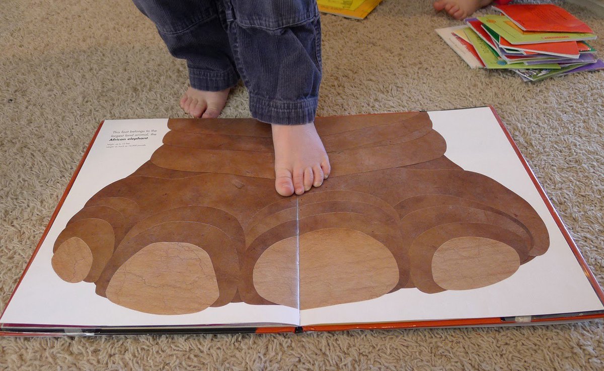 eriksonmath's tweet image. Measuring with Books, Blocks, and Even Penguins
"There are any number of wonderful books that give children very concrete images to show how big creatures are and to make comparisons to their own size."
More: earlymath.erikson.edu/measuring-with…