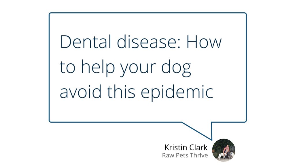 RawPets's tweet photo. "Many dogs that are fed a species-appropriate raw diet have sparkling white teeth, healthy gums, good breath, and healthy jaws." https://t.co/66e9WY0S8s #Dogs #Dogwellness #PeriodontalDisease #Doghealth https://t.co/LQX7b8Sxww